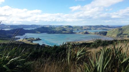 Schüleraustausch Neuseeland: Landschaft 