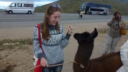 Austauschschülerin Ilka trifft ein Lama in Argentinien, Open Door International e.V.