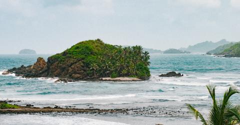 Schüleraustausch in Panama Insel mit Bäumen im Meer
