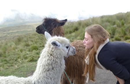 AFS Schüleraustausch in Ecuador mit Alpaka